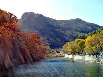 新澳门二四六天天开奖，废棉